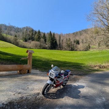 PXL_20250411_131041212.MP