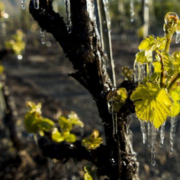 205801-e6f1ac61ec0bfe7ab15ae231a1a48040