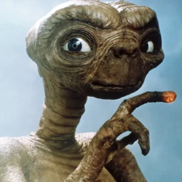 82441cfcf7babb30719e2ea88b46f06e,621abe7a